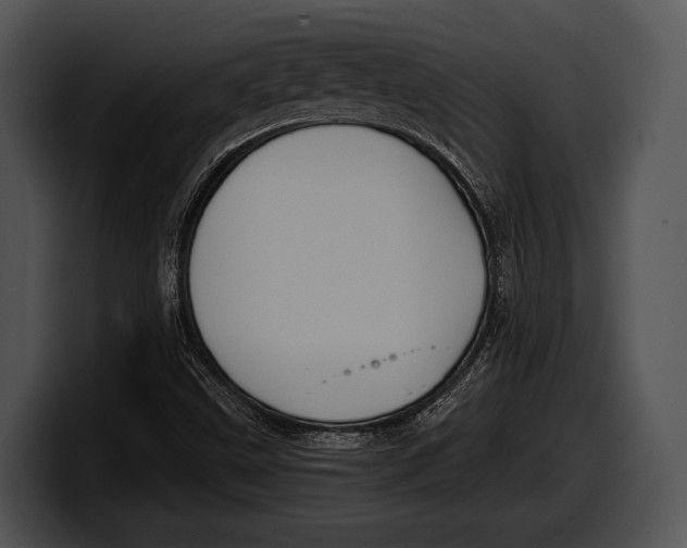 X0000100191499200806201244