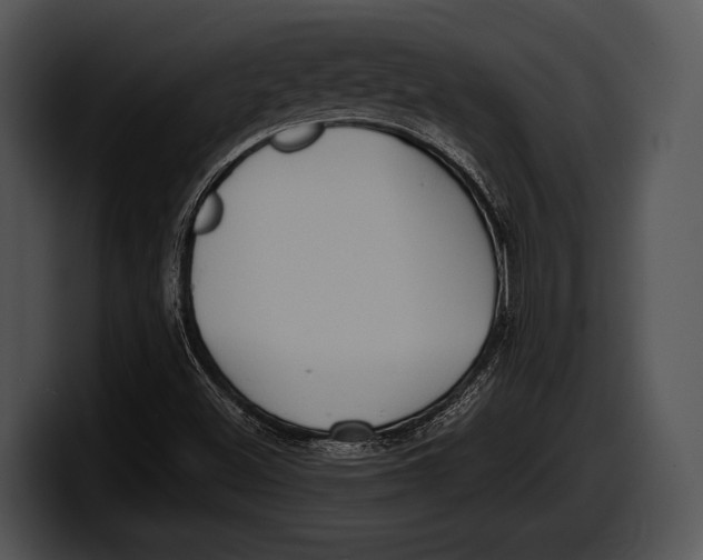 X0000100191500200806201244