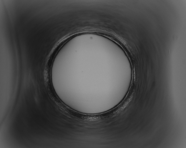 X0000100191501200806201244