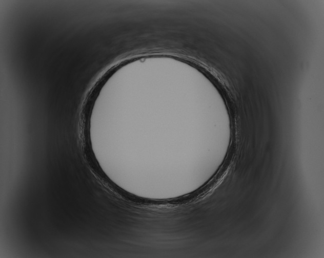 X0000100191502200806201244