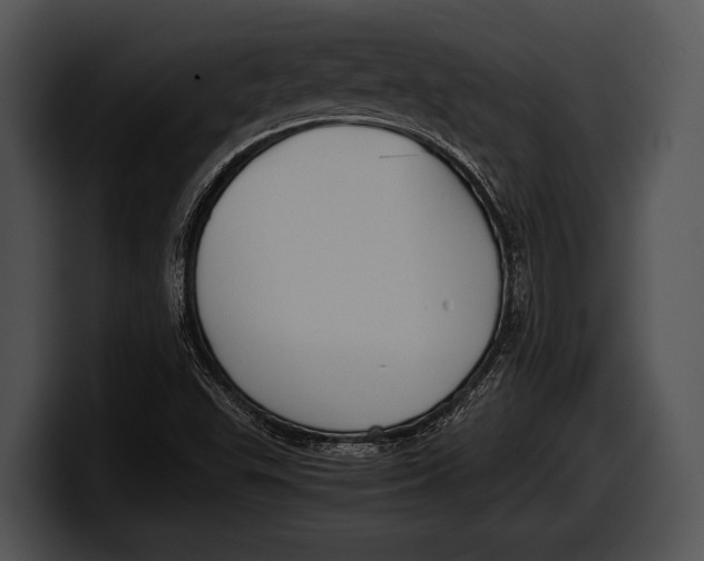 X0000100191503200806201244