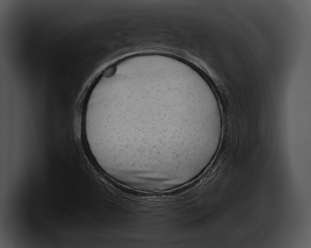 X0000100191504200806201244