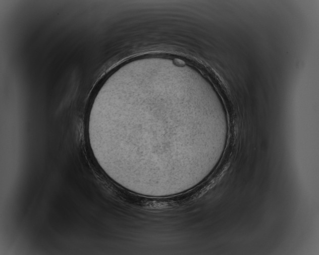 X0000100191505200806201244