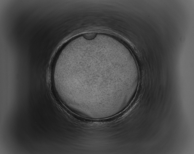 X0000100191506200806201244