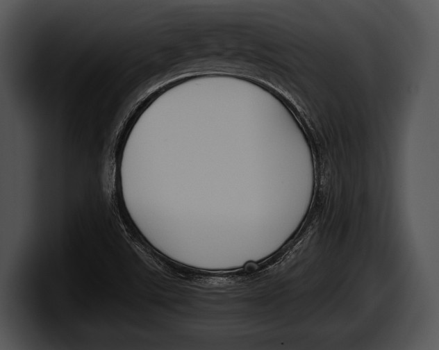 X0000100191507200806201244