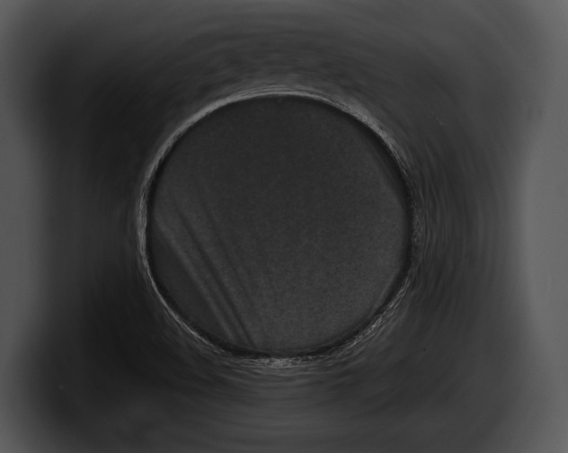 X0000100191508200806201244