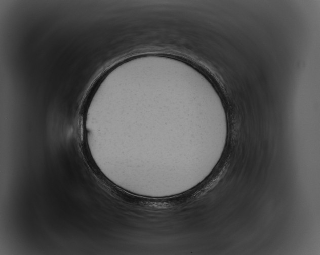 X0000100191509200806201244