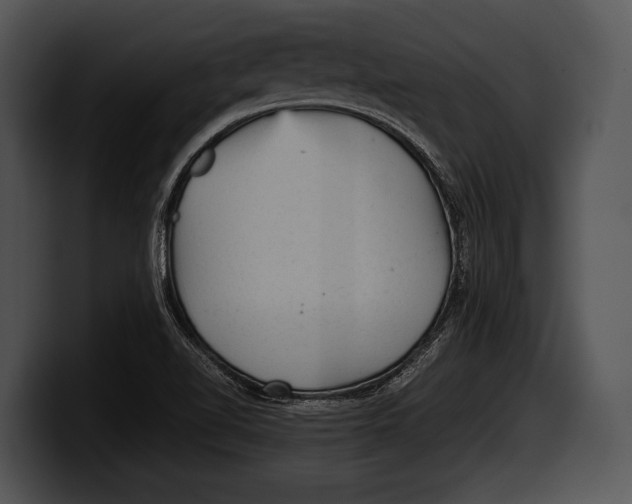 X0000100191510200806201244