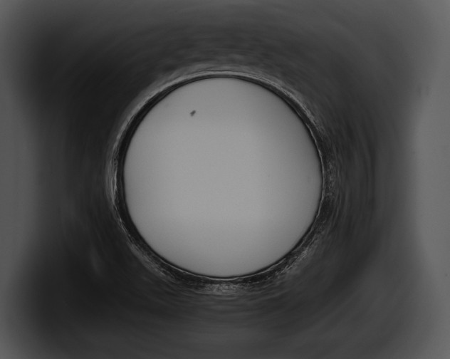 X0000100191511200806201244