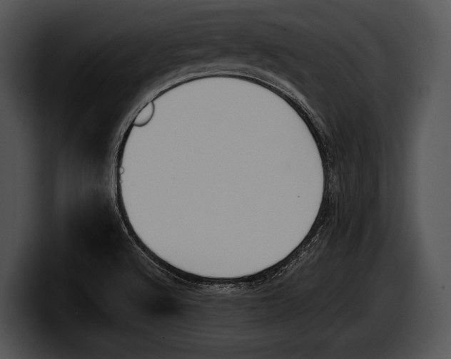 X0000100191512200806201244