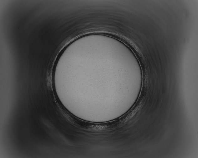 X0000100191513200806201244