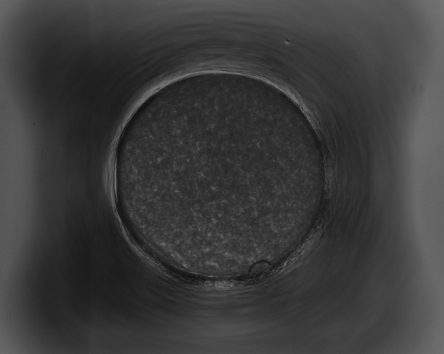 X0000100191515200806201244