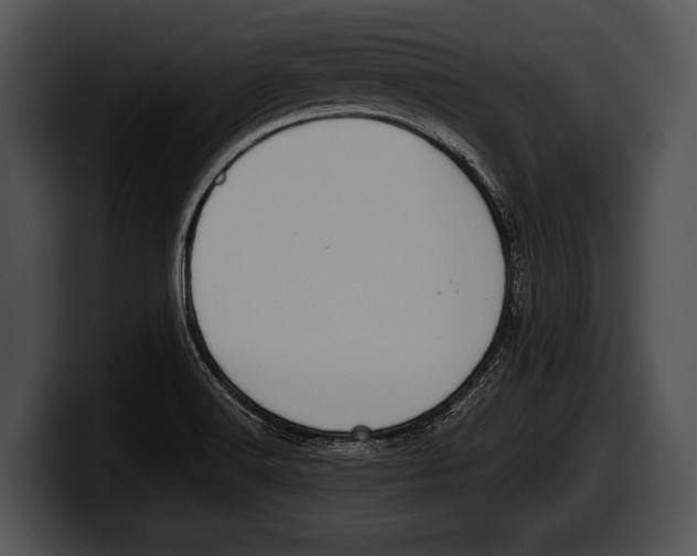 X0000100191516200806201244