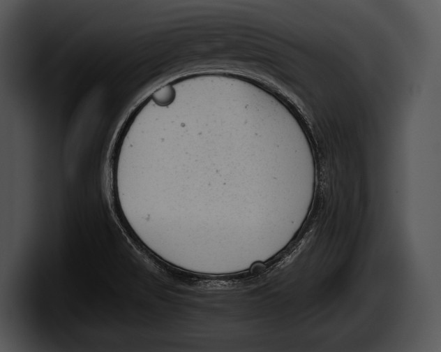 X0000100191517200806201244