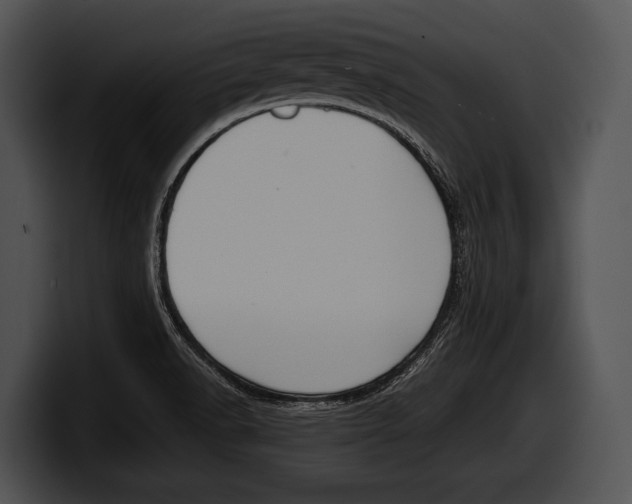 X0000100191518200806201244