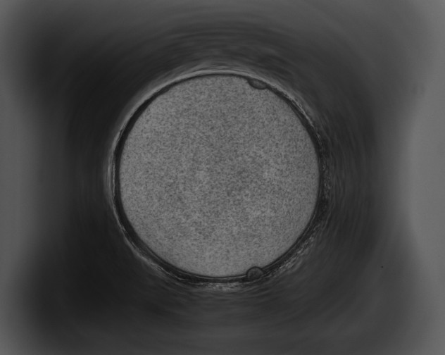 X0000100191519200806201244