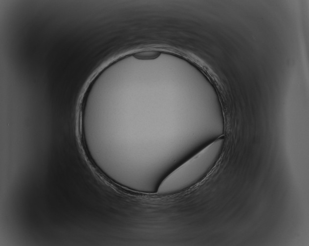 X0000100191520200806201244