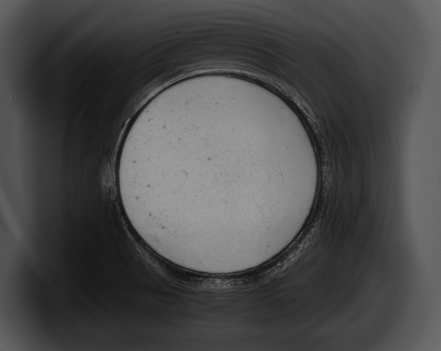 X0000100191521200806201244