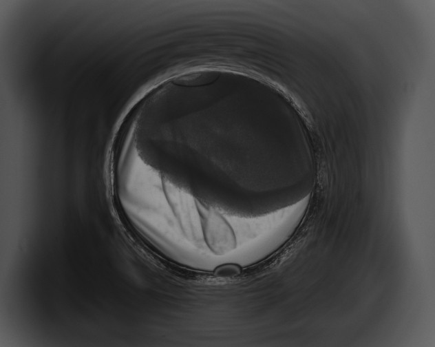 X0000100191522200806201244