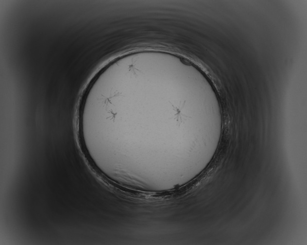 X0000100191523200806201244