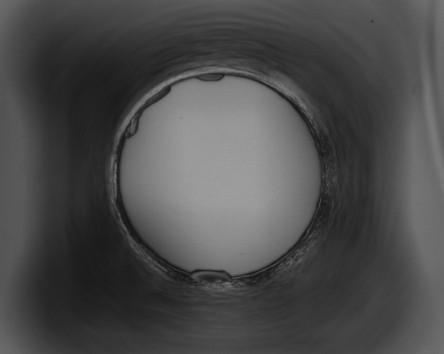 X0000100191524200806201244