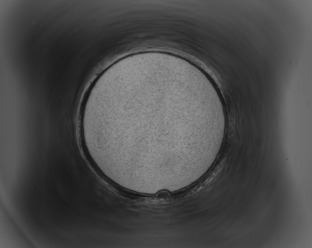 X0000100191525200806201244