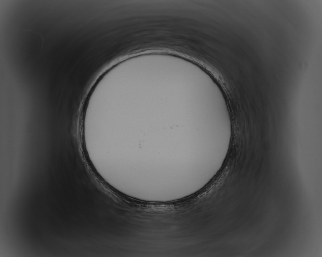 X0000100191526200806201244