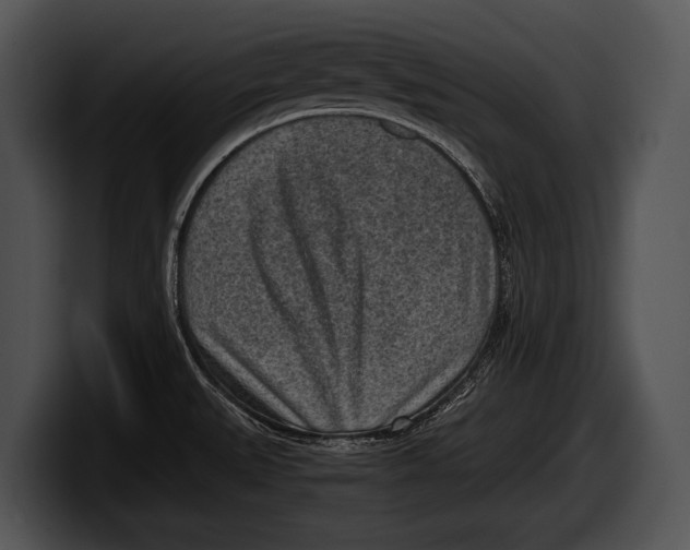 X0000100191527200806201244