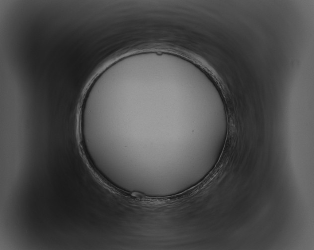 X0000100191528200806201244