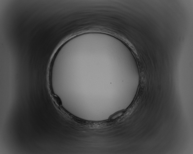 X0000100191530200806201244