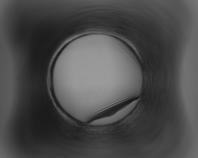 X0000100191531200806201244