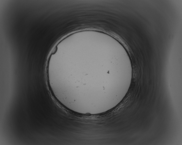 X0000100191532200806201244