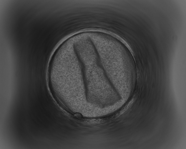 X0000100191533200806201244