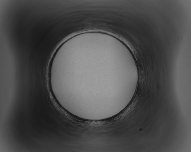 X0000100191534200806201244