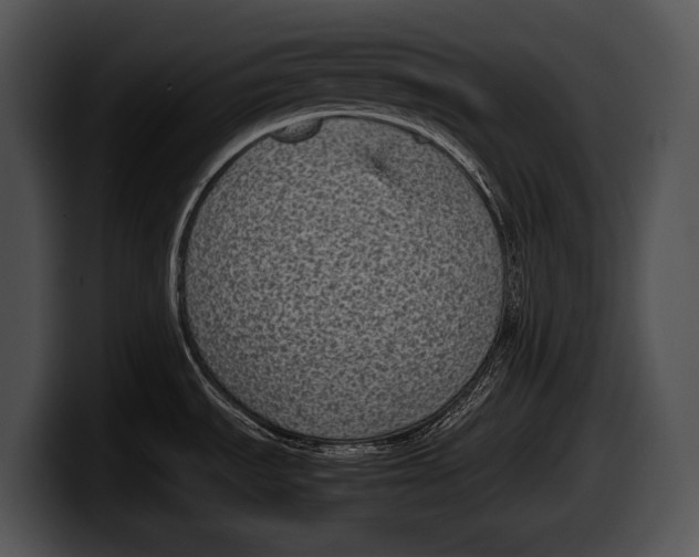 X0000100191535200806201244