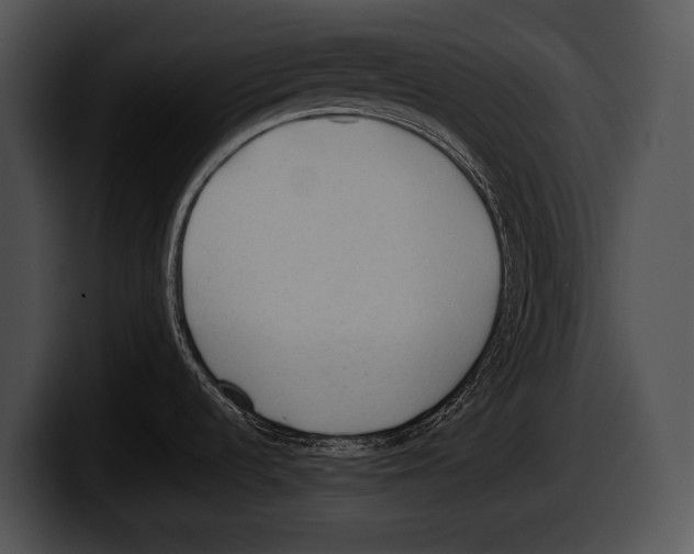 X0000100191536200806201244