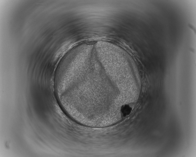 X0000100190002200806201408