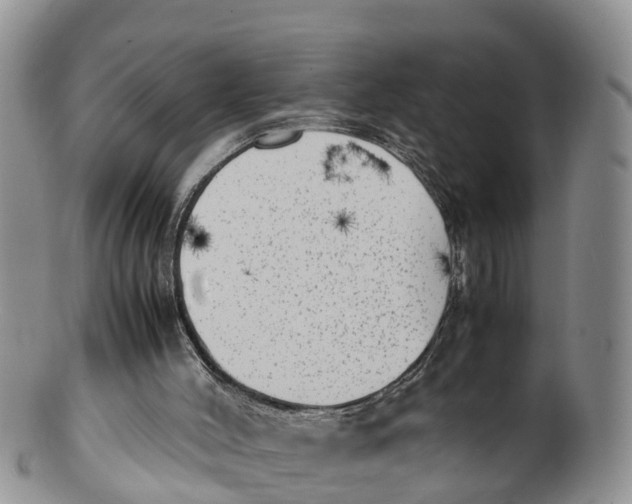 X0000100190004200806201408