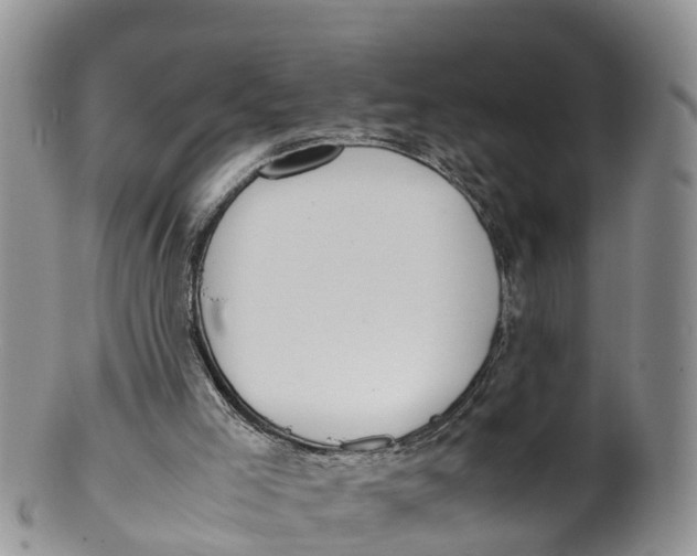 X0000100190005200806201408