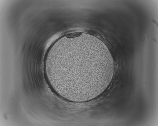 X0000100190006200806201408