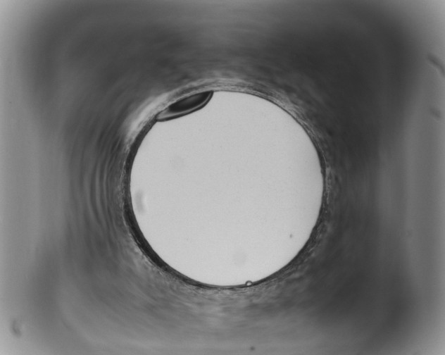 X0000100190007200806201408