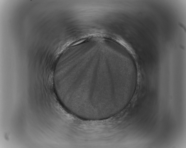 X0000100190009200806201408