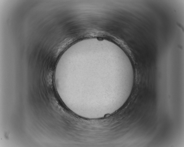 X0000100190010200806201408