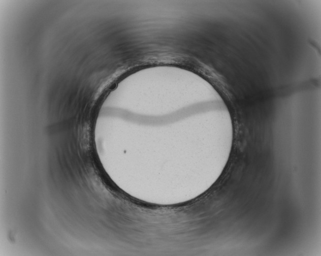 X0000100190012200806201408