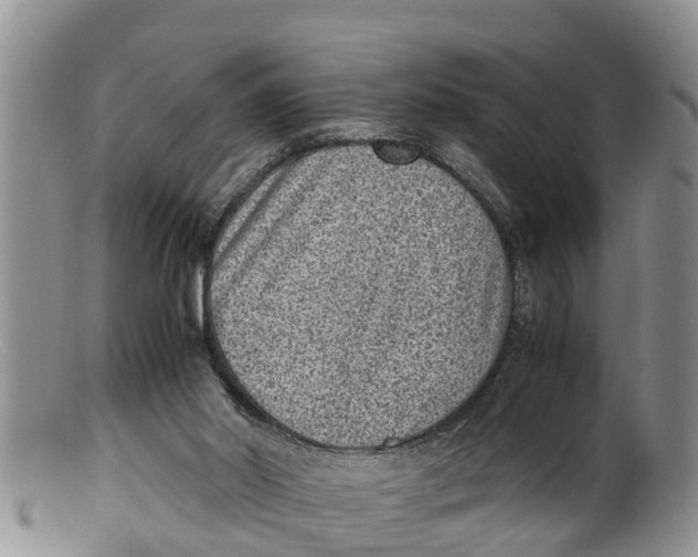 X0000100190014200806201408