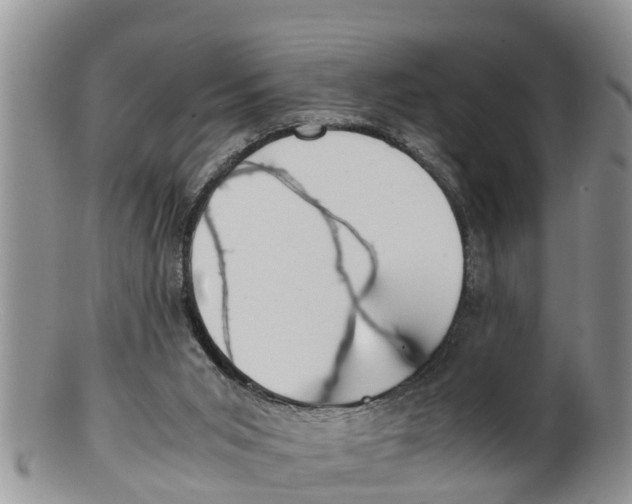 X0000100190015200806201408