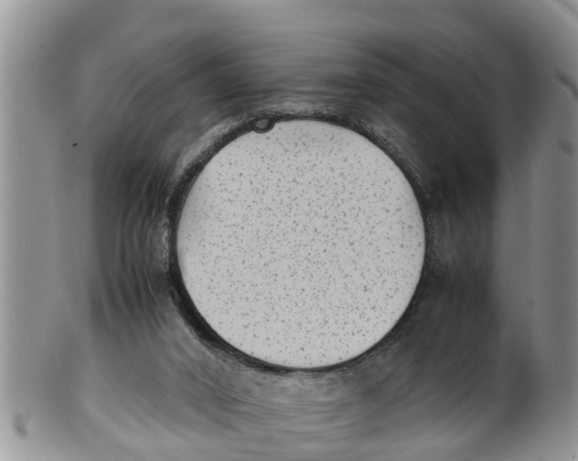 X0000100190016200806201408