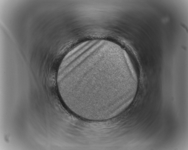 X0000100190017200806201408