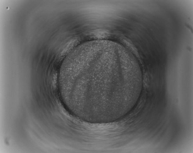 X0000100190018200806201408