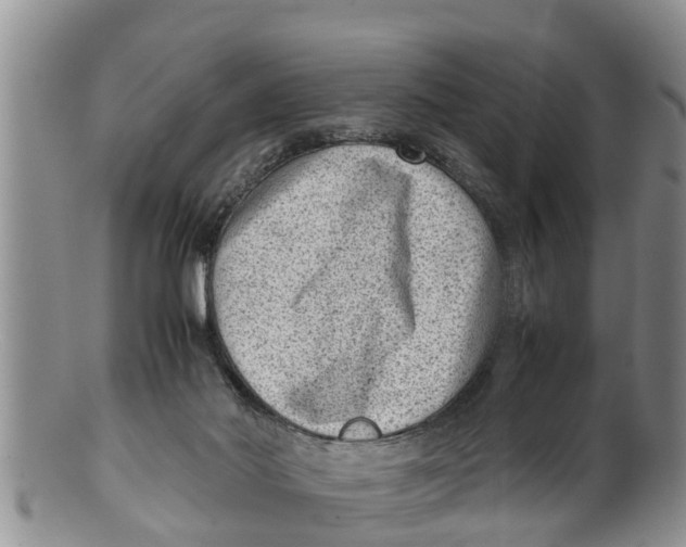 X0000100190022200806201408
